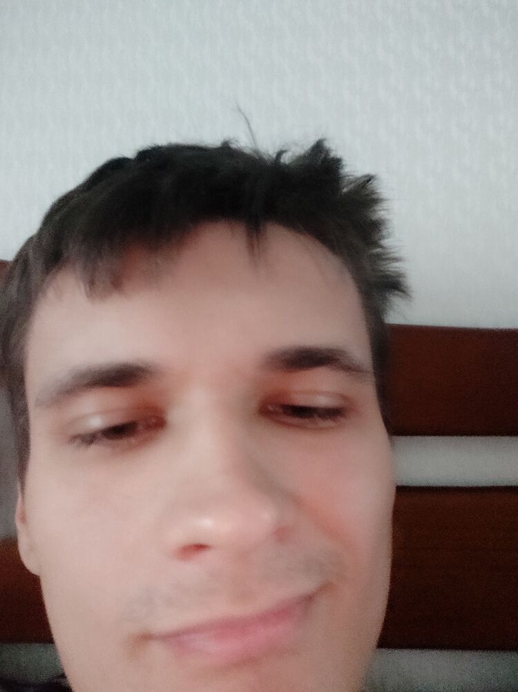  29254473  , 24 ,    