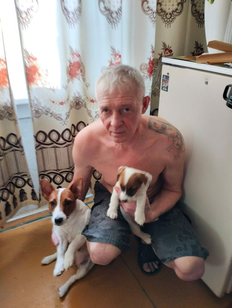  52914113  Konstantin, 53 ,    
