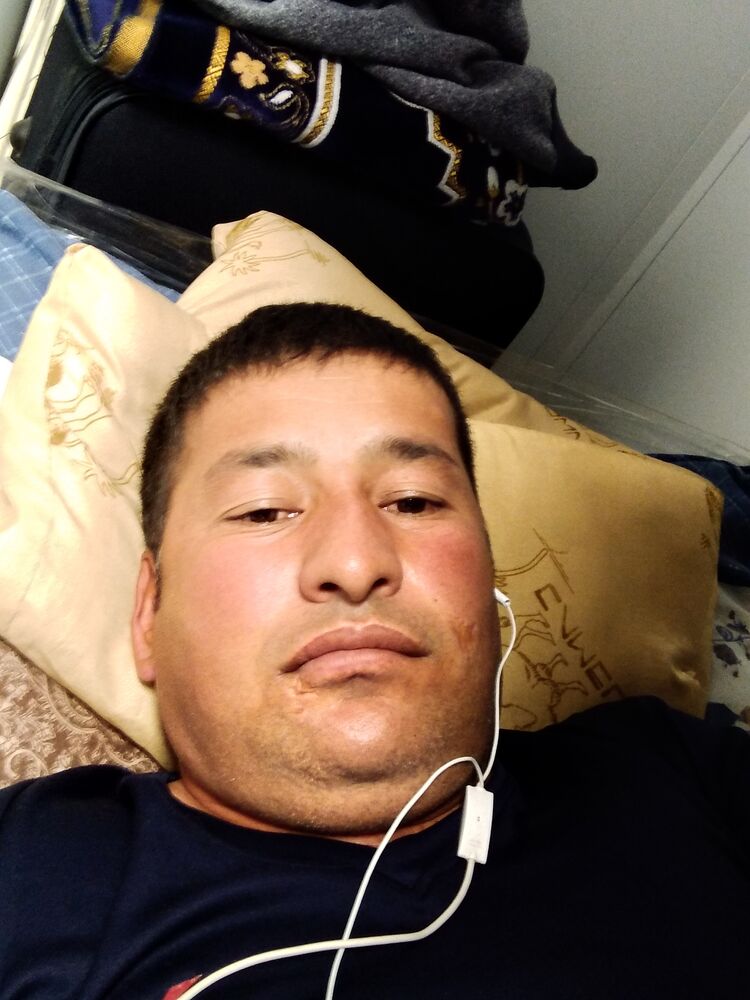 23840423  , 37 ,    