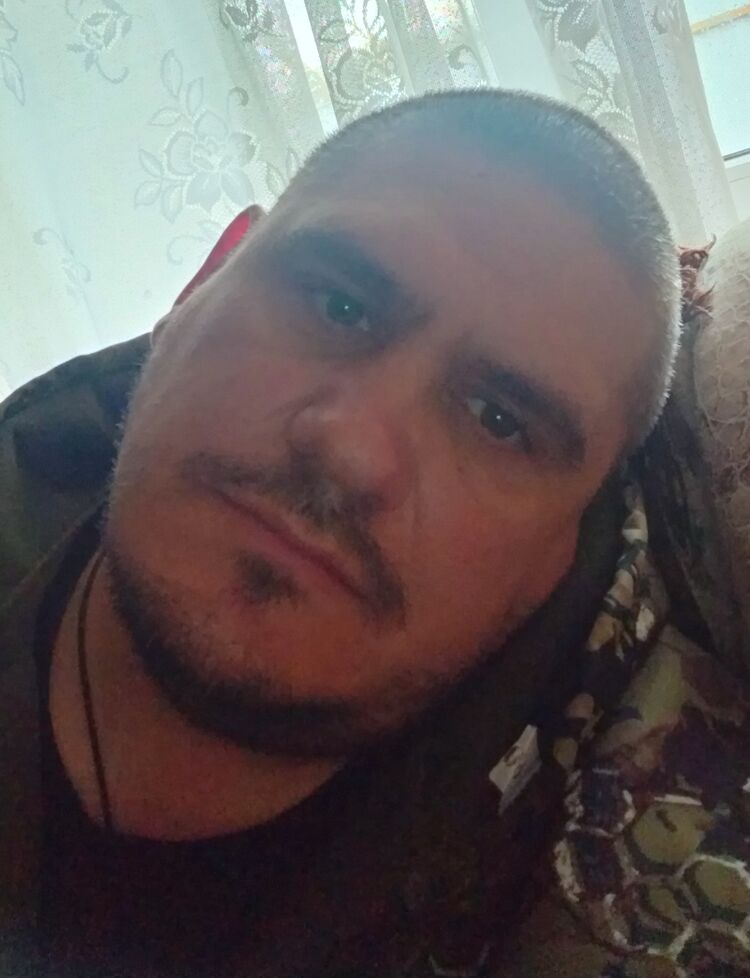  41306793  , 40 ,    