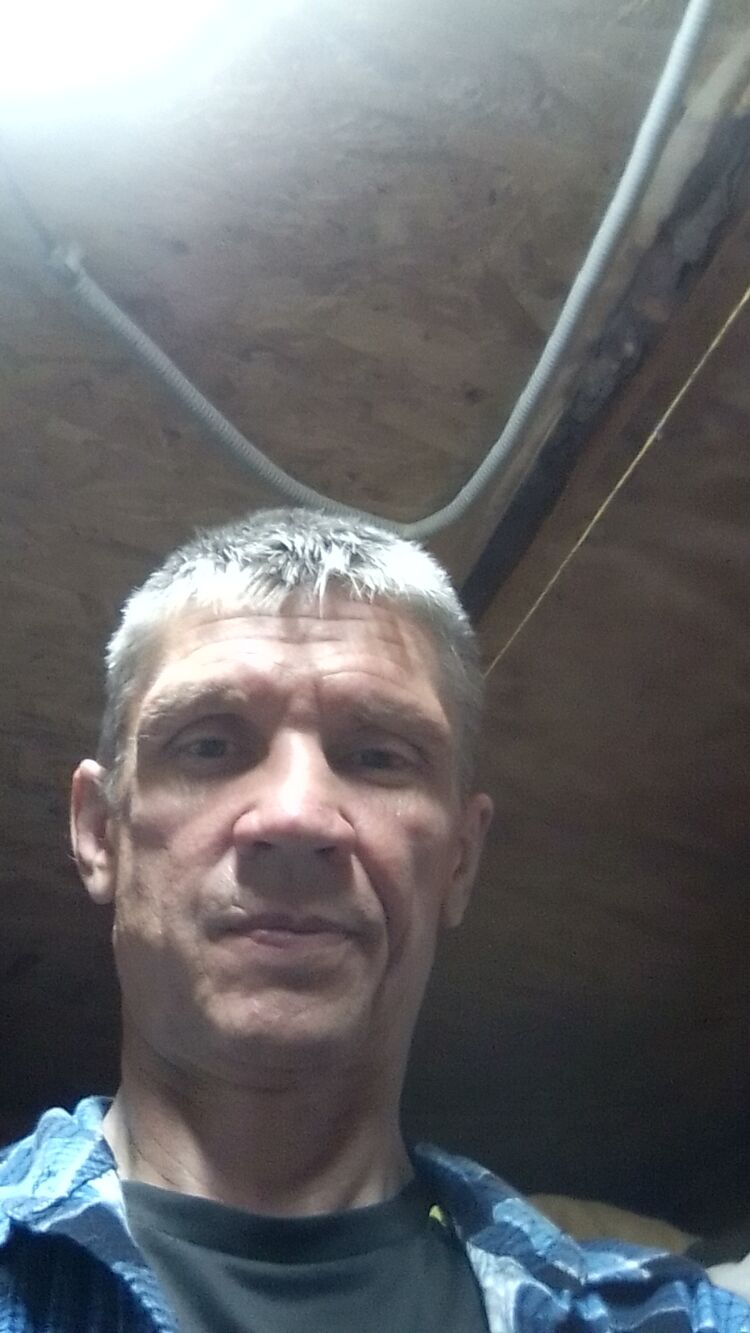  31269363  , 49 ,    