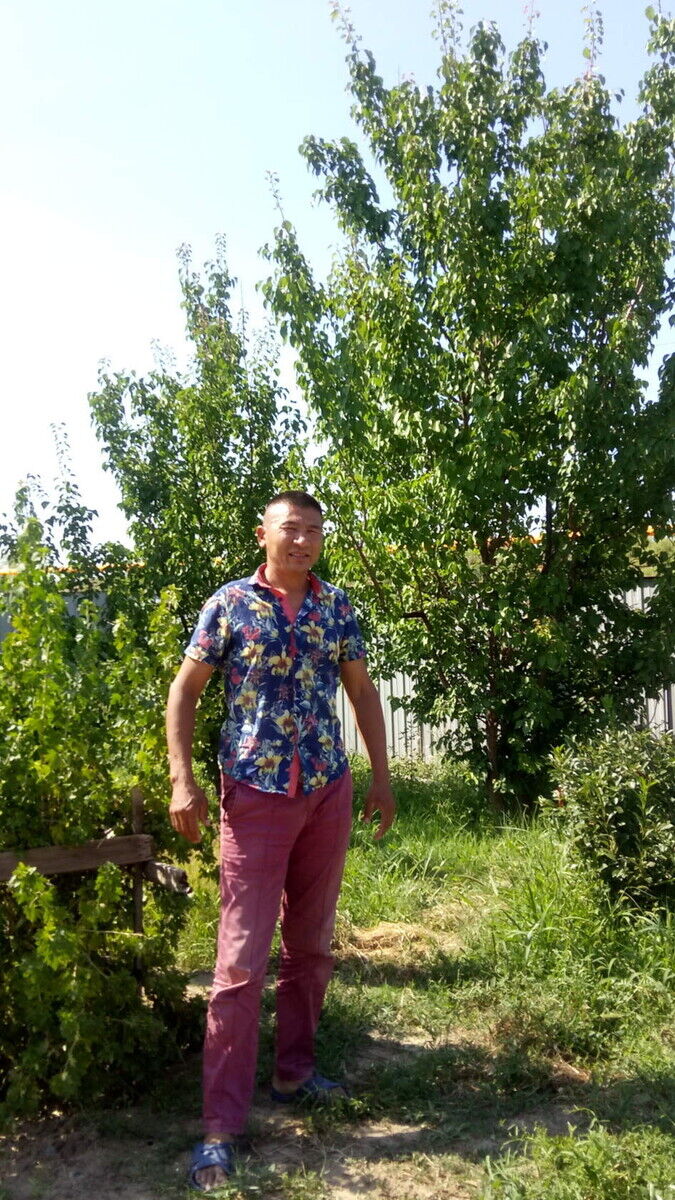 ���������� ���������, ���� ������� �������, 50 ���, ������������ ��� ������, ����� � ���������, c�������� ���������