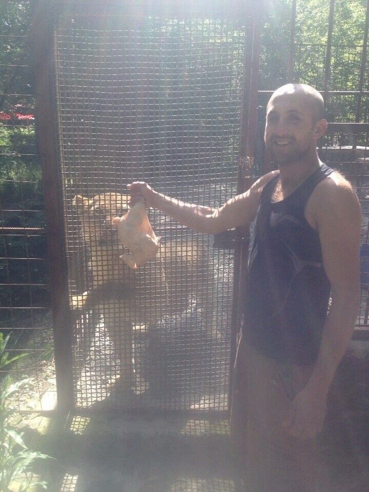 ���������� ������, ���� ������� �������, 53 ����, ������������ ��� ����� � ���������, c�������� ���������