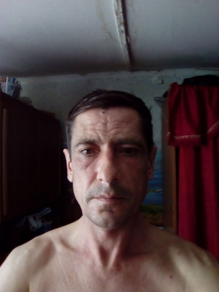  11955463  , 51 ,    