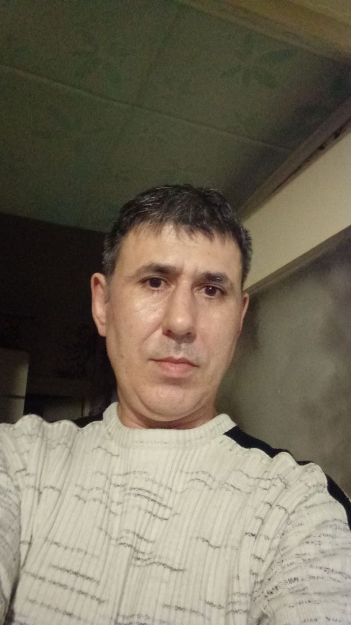  40880793  , 43 ,    