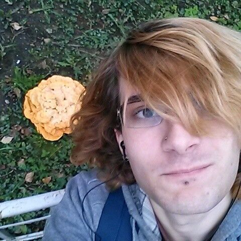  ,   Tomhet, 29 ,   
