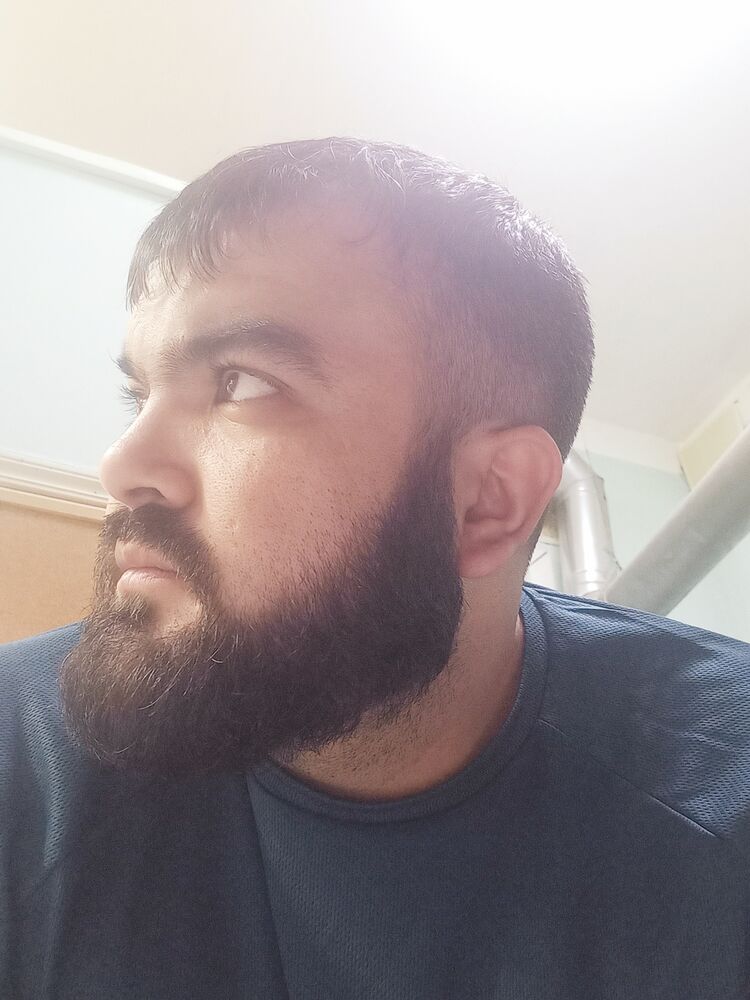 ���� 31391243 ������� Davlat, 31 ���, ���� ���������� � ��������