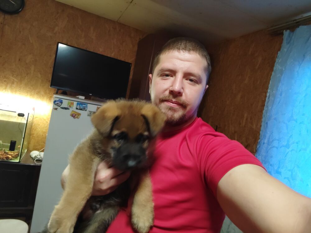  39207063  Nikolay, 27 ,    -