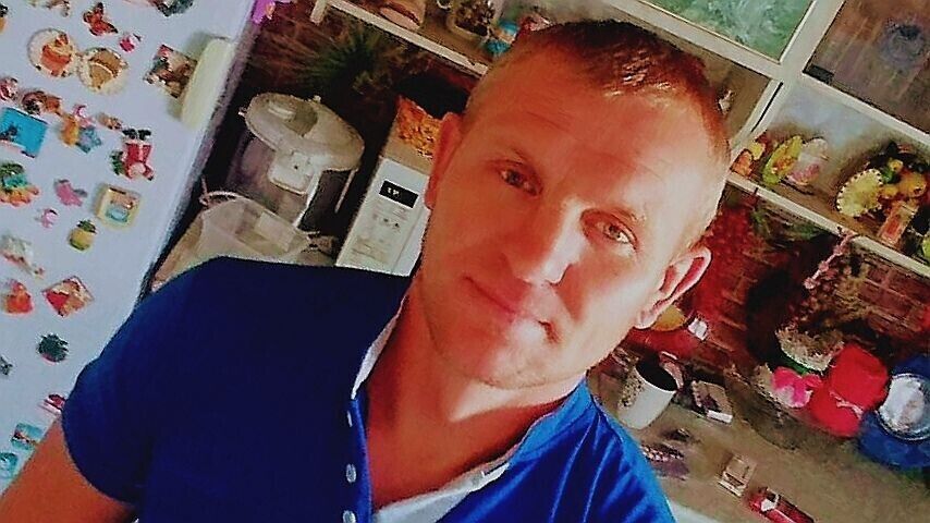  43886183  , 41 ,    