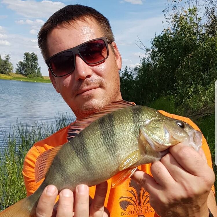  ,   Vladimir, 37 ,   ,   , c , 