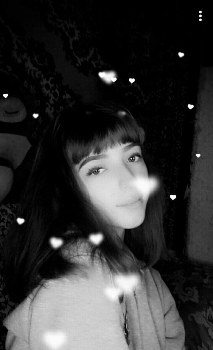  24092823  , 22 ,    