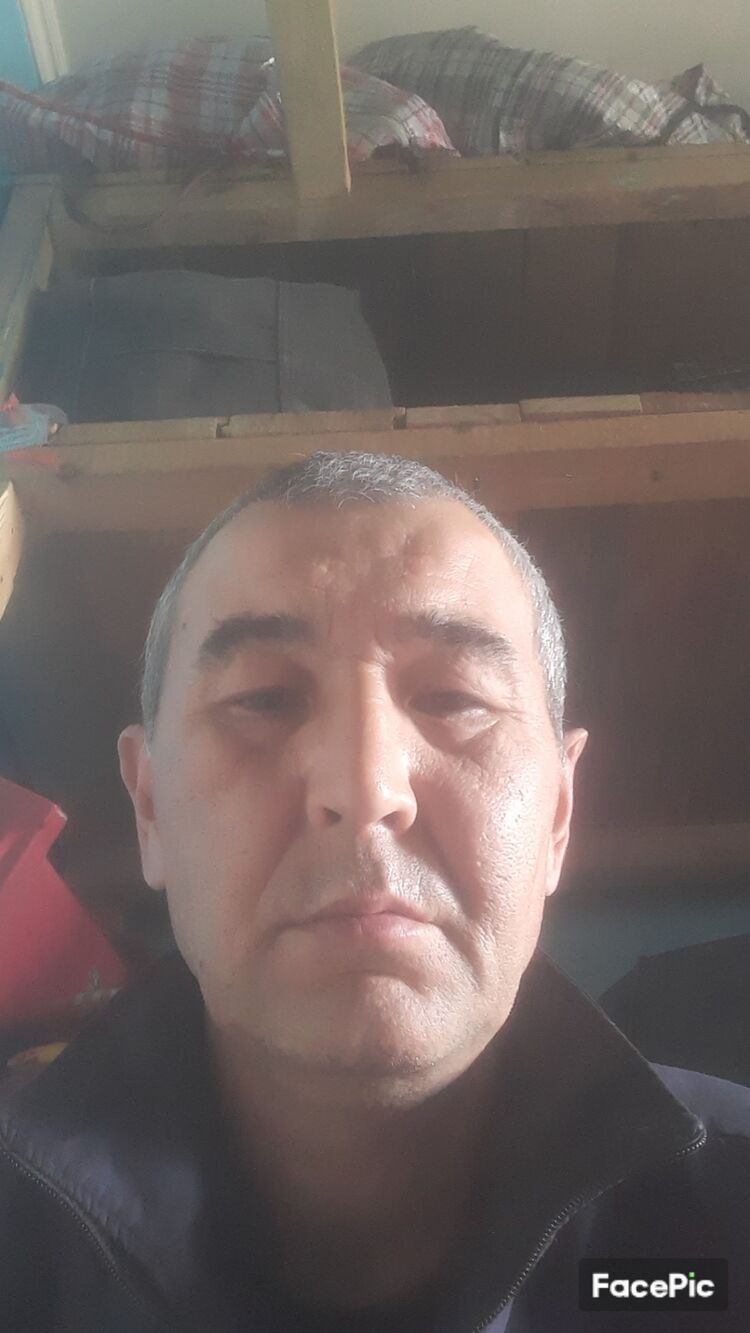  42903533  , 45 ,    