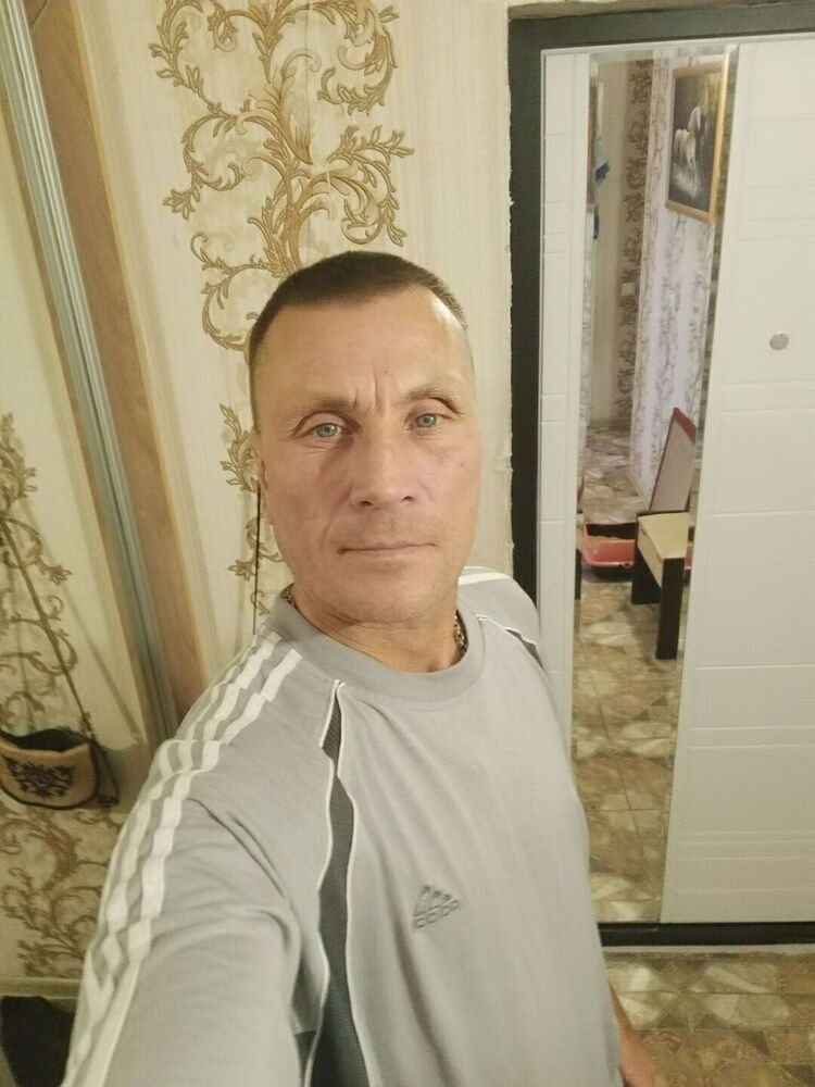  38341053  , 50 ,    