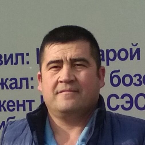  25135313  , 46 ,    
