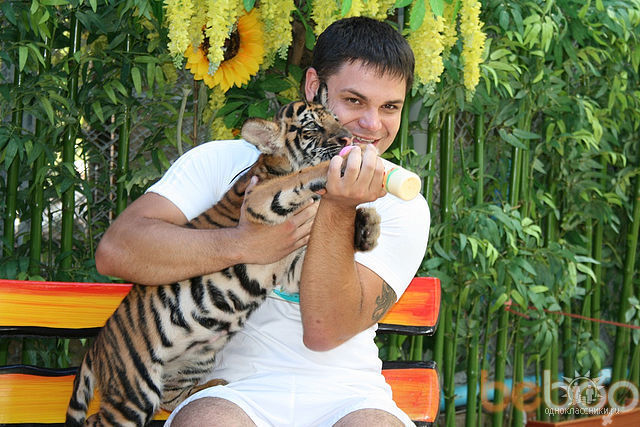 ���� 1167393 ������� ARMEN, 43 ����, ���� ���������� � �������