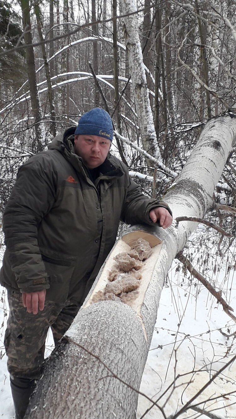 ���� 22727473 ������� �������, 45 ���, ���� ���������� � ����������