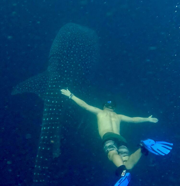 ���������� �����-���������, ���� ������� �����, 43 ����, ������������ ��� ������, ����� � ���������