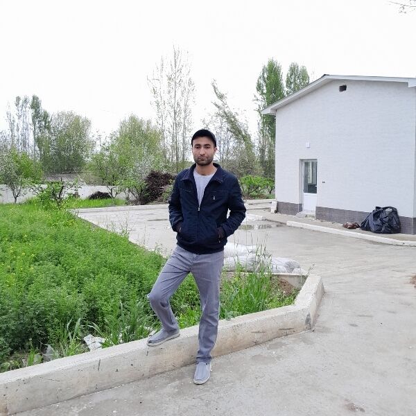 ���� 43382083 ����� ��������, 24 ����, ���� ���������� � ��������