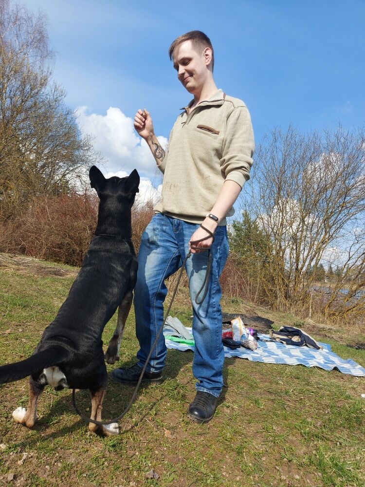 ���� 41616243 ������� �������, 31 ���, ���� ���������� � ������