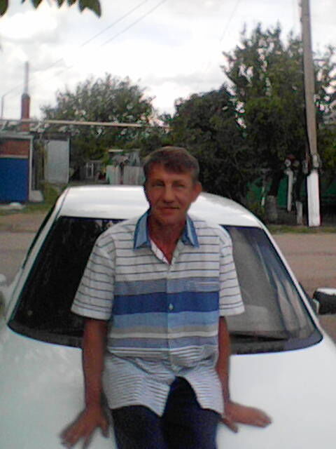  31568773  , 56 ,    