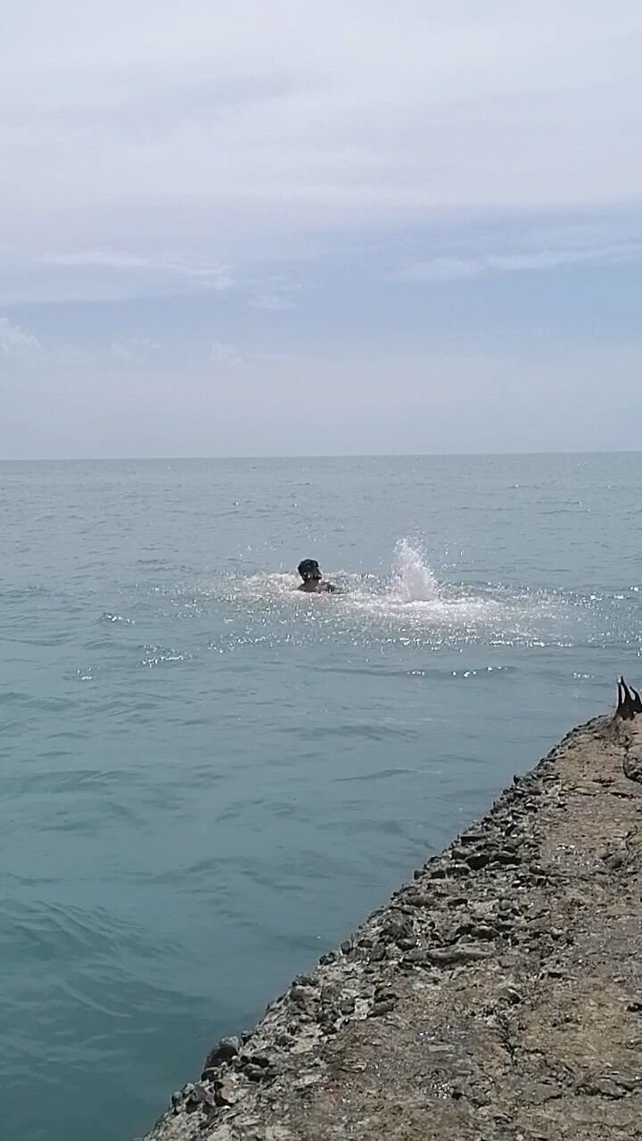 ���������� ����, ���� ������� ������, 27 ���, ������������ ��� ������, ����� � ���������, c�������� ���������, ���������