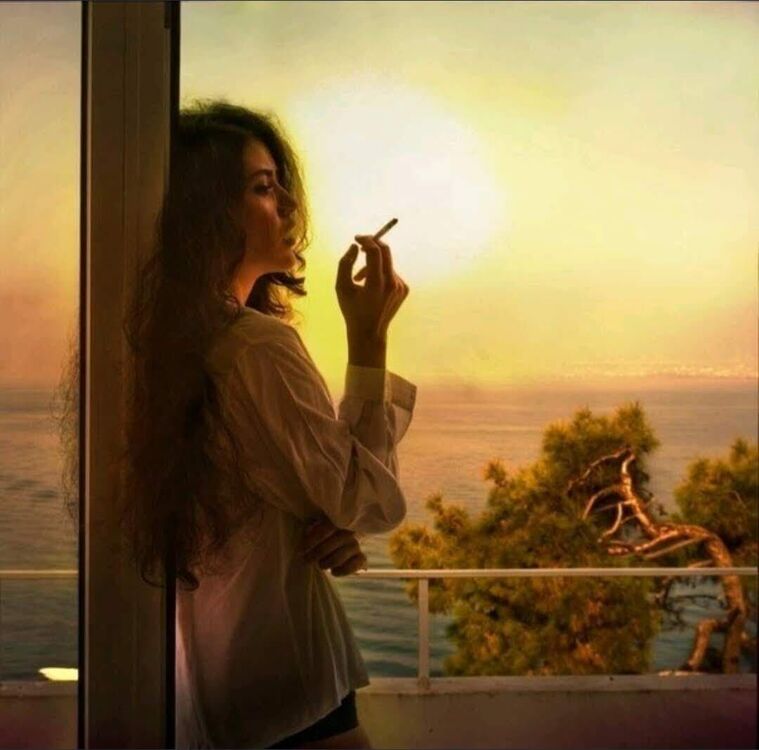  53149933  Elena, 33 ,    