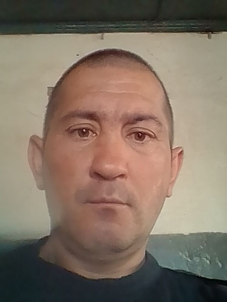  15817713  , 44 ,    
