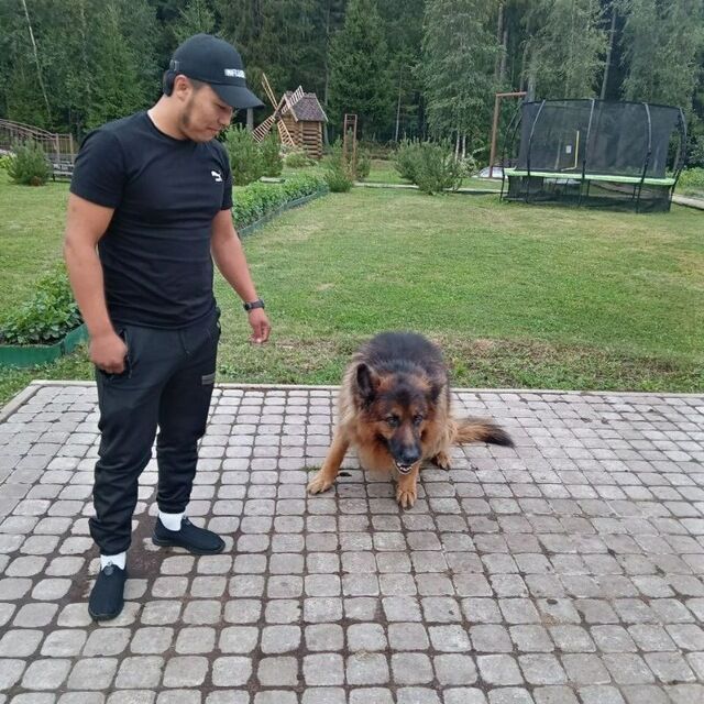  37822663  , 29 ,    -