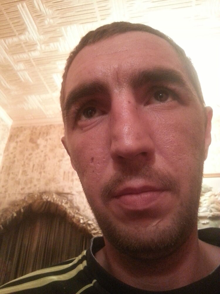  7637333  , 41 ,    