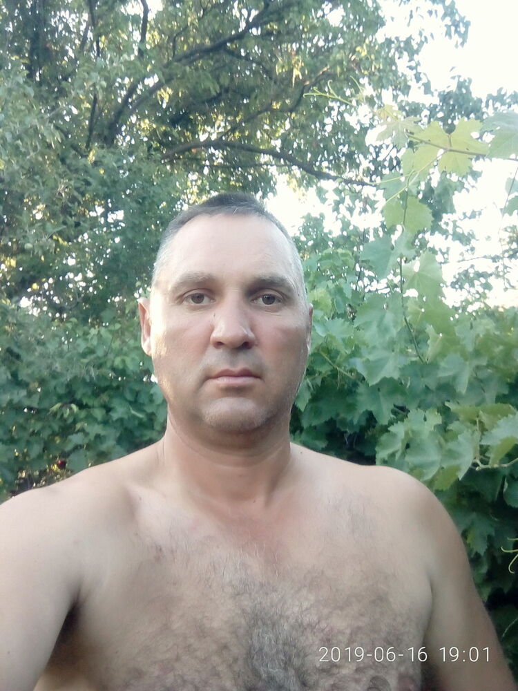  16447563  , 49 ,    