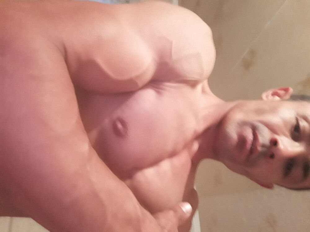  16535663  , 31 ,    