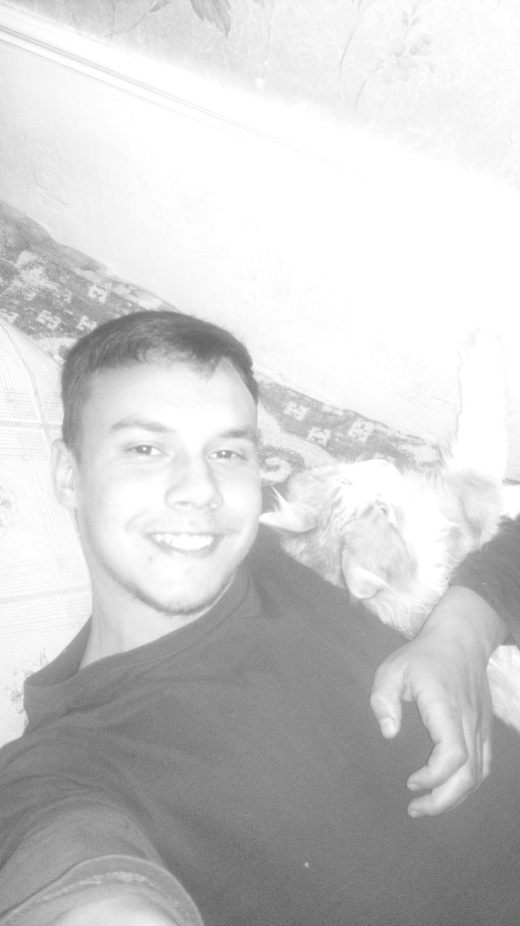 ���������� �������, ���� ������� ���������, 27 ���, ������������ ��� ����� � ���������, ���������