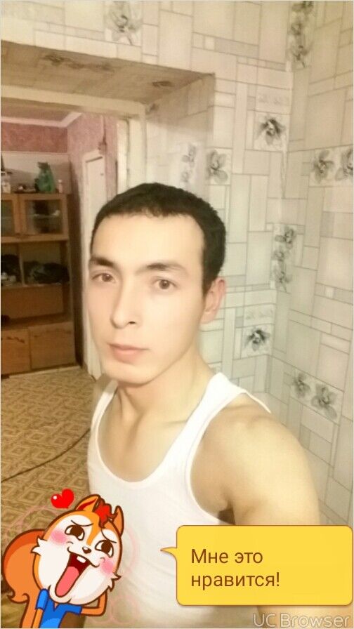  8007533  , 37 ,    