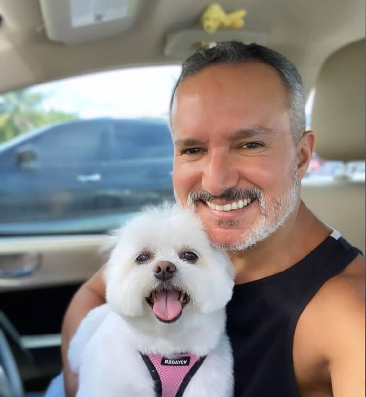 ���� 50204003 ������� Luis, 66 ���, ���� ���������� � ��������