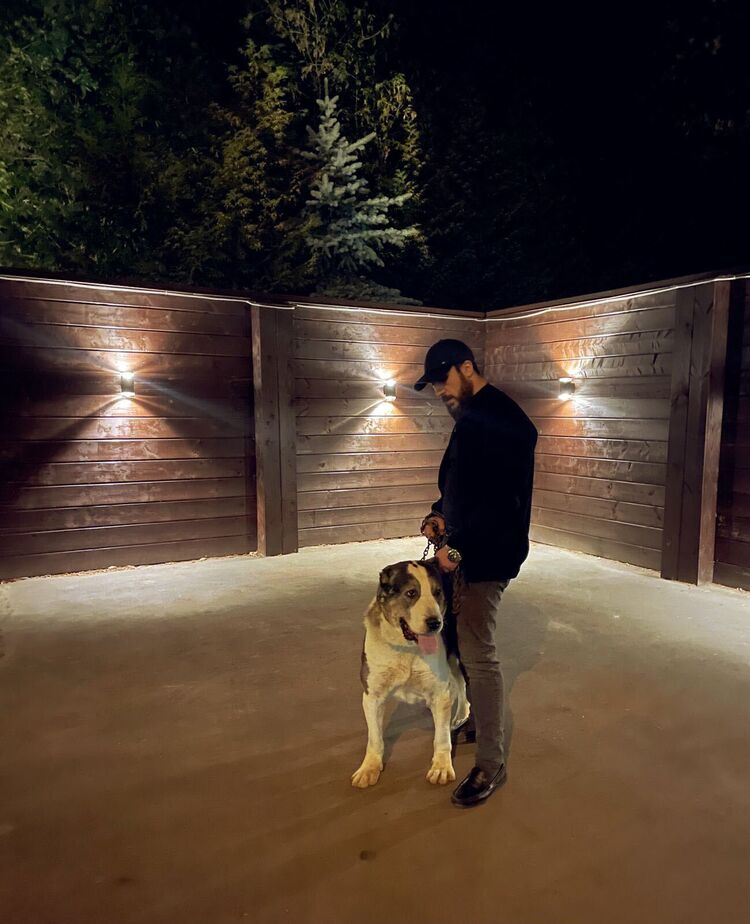 ���������� ������, ���� ������� ������, 35 ���, ������������ ��� ������, ����� � ���������