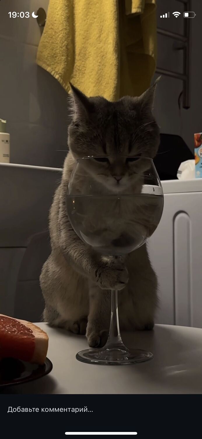 ���� 54818713 ����� ����, 18 ���, ���� ���������� � ������