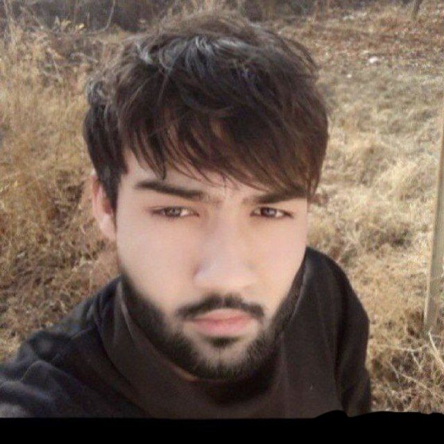 ���� 43384713 ������� �����, 33 ����, ���� ���������� � ������