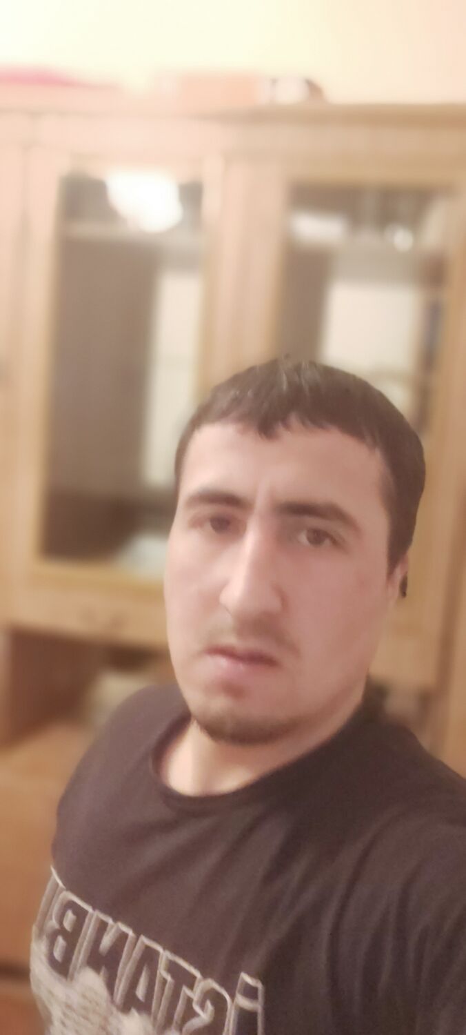  24581543  , 29 ,    -
