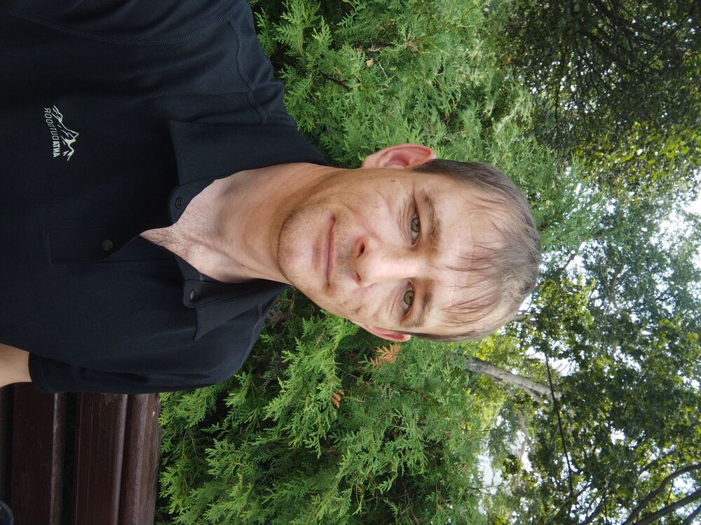  53453993  , 36 ,    -