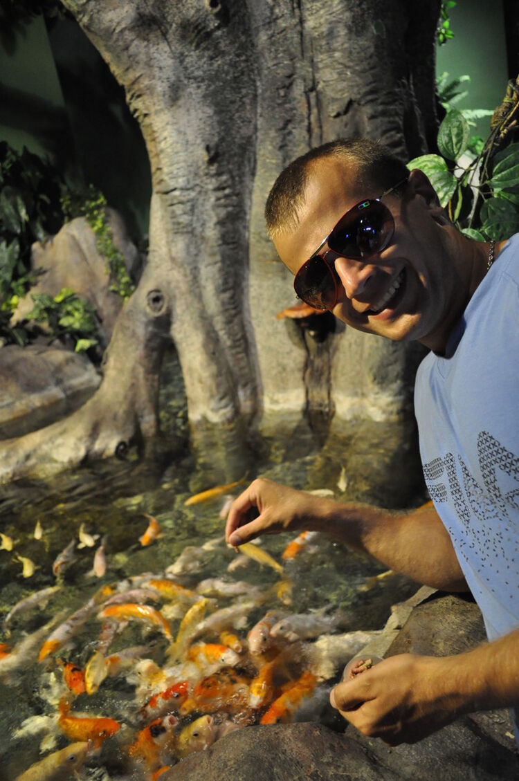 ���������� ��������, ���� ������� ��������, 37 ���, ������������ ��� ������, ����� � ���������, c�������� ���������