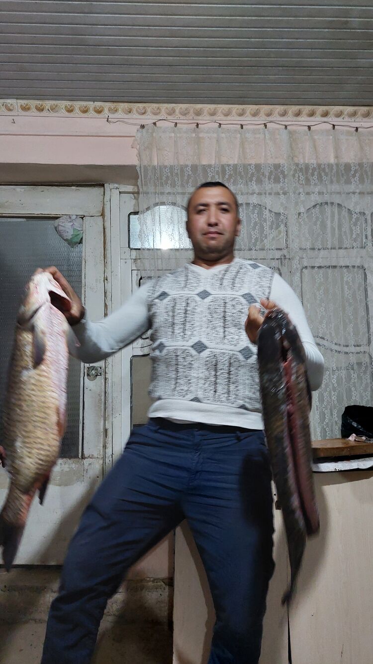 ���� 48808843 ������� Bobur, 36 ���, ���� ���������� � ��������