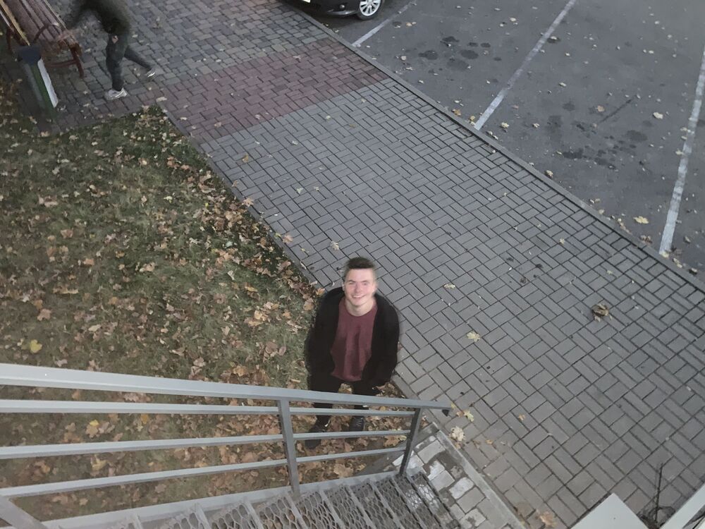  33460303  , 28 ,    