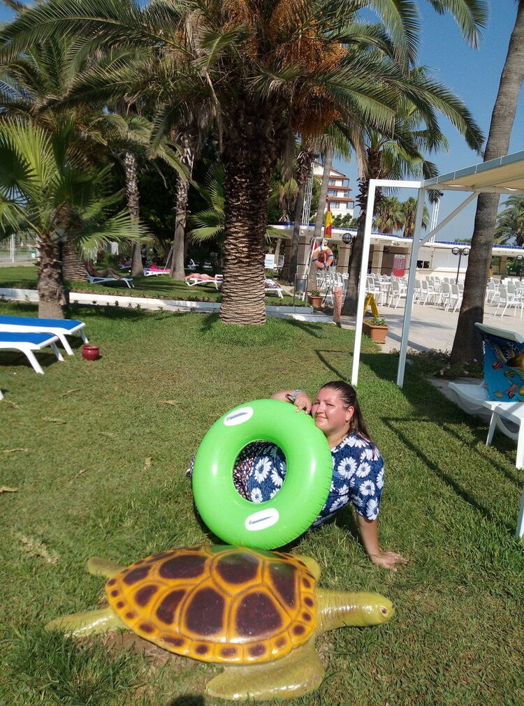 ,   , 43 ,  