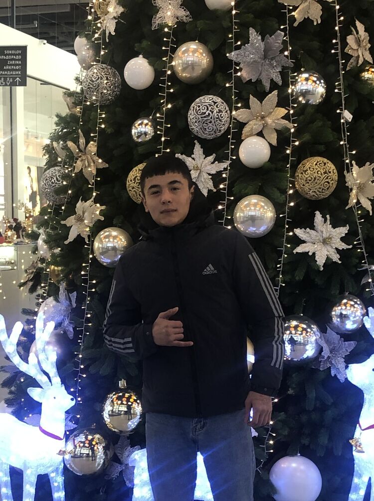 ���� 31214973 ����� �������, 24 ����, ���� ���������� � ���������