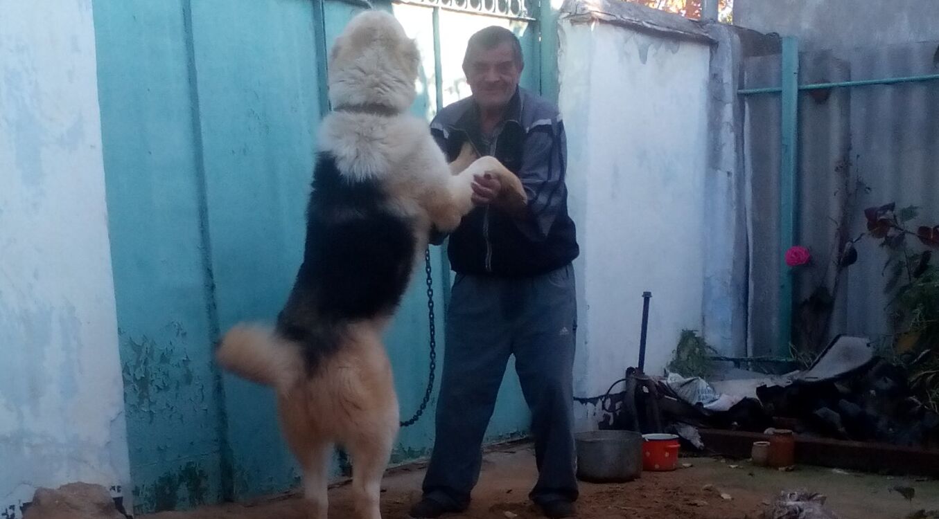 ���� 55841003 ������� ������, 69 ���, ���� ���������� � ���������