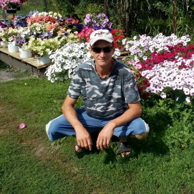 ���� 23176653 ������� �����, 48 ���, ���� ���������� � ������