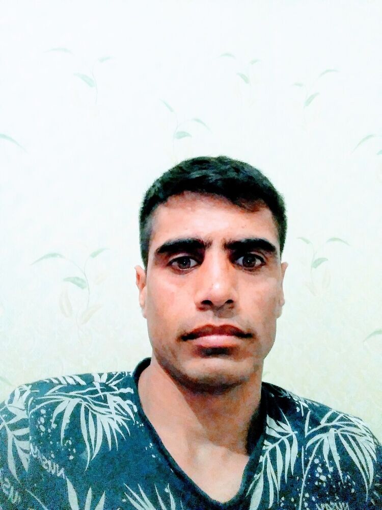 ���������� ���������, ���� ������� Kot, 38 ���, ������������ ��� ������, ����� � ���������