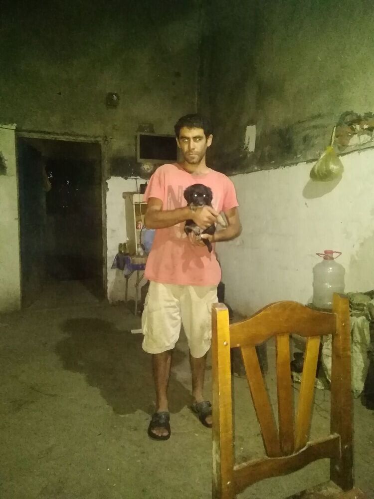 ���� 35973653 ������� �����, 32 ����, ���� ���������� � �������