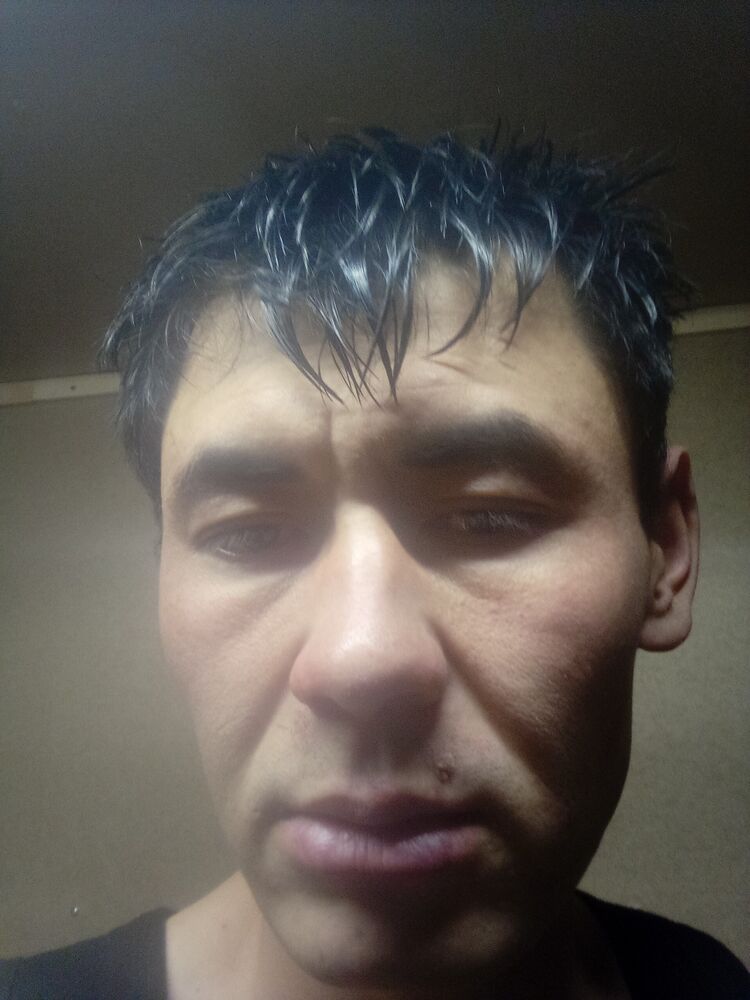  33198583  , 31 ,    -