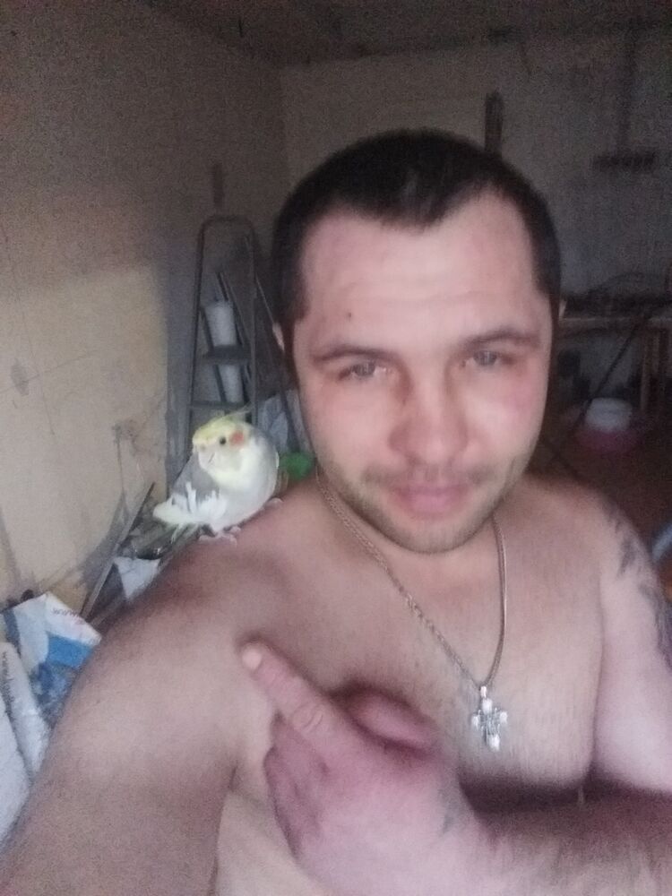  18359183  , 38 ,    